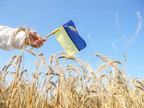 Показало опитування, скільки людей вважають своєю рідною мовою українську