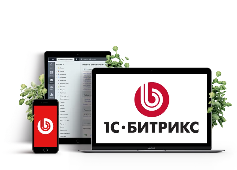 Битрикс программист: где и как найти лучшего