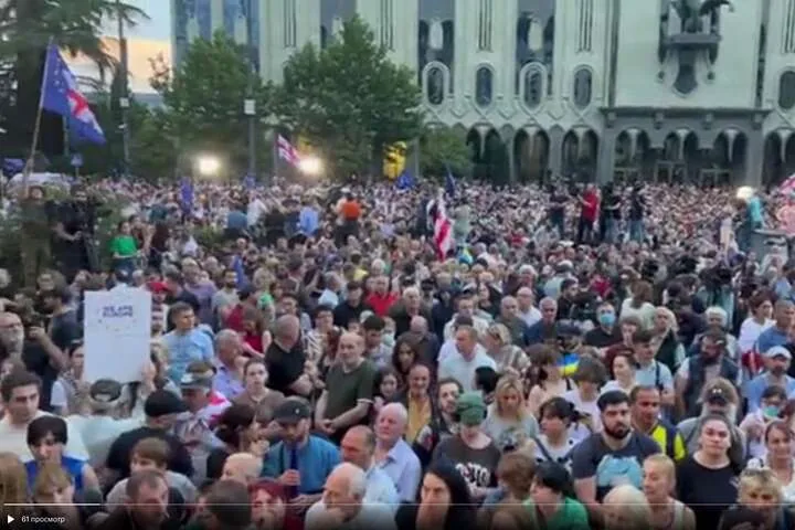Масовий мітинг за вступ у ЄС та з вимогою відставки уряду пройшов у Грузії