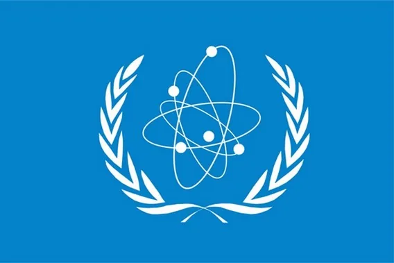 Делегацію на ЗАЕС очолить гендиректор МАГАТЕ