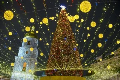 Чому ялинки мають пірамідальну форму - вчені
