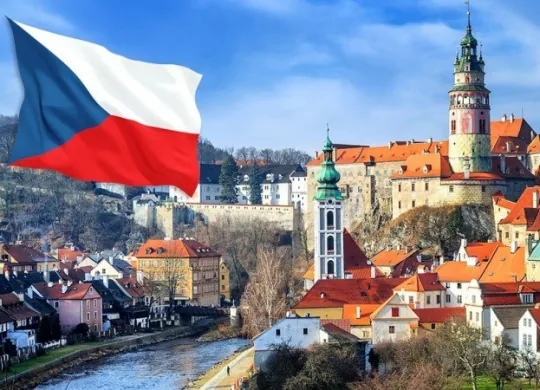 Для другого туру президентських виборів у Чехії визначилися основні кандидати