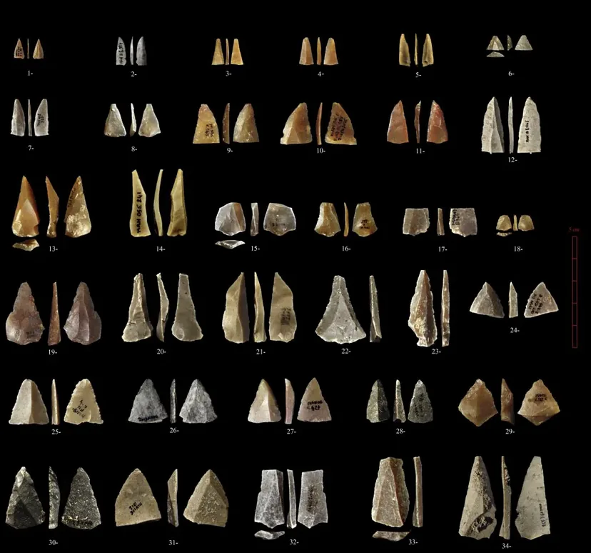 Еволюція Homo sapiens: нове дослідження проливає світло