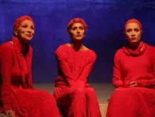 У Києві покажуть "Монологи вагіни"