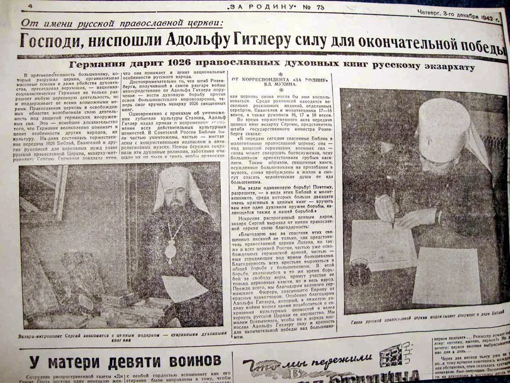 Нюх у котів: як запахи впливають на поведінку та настрій улюбленця
