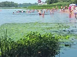 Київ атакують щури. На пляжах столиці можуть заборонити купатися