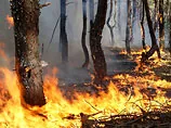 В Україні найвища небезпека пожеж за 50 років