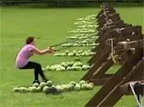 Курьез на съемках реалити-шоу: участница получила в лицо арбузом из катапульты. ВИДЕО