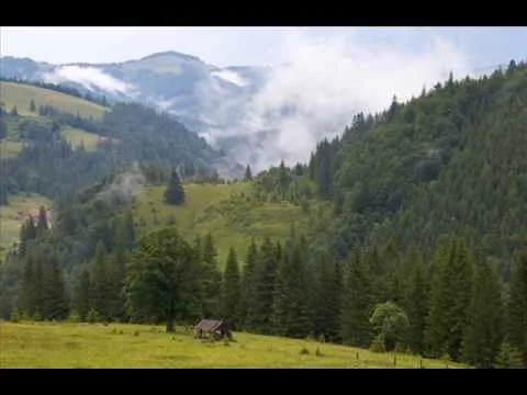 История Команча: украинской деревни в Польше